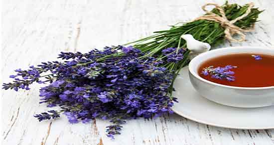 خواص دمنوش اسطوخودوس برای اعصاب ؛ دمنوش اسطوخودوس نیوشا
