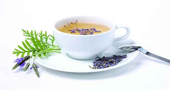 خواص دمنوش اسطوخودوس در طب سنتی ؛ دمنوش اسطوخودوس چیست