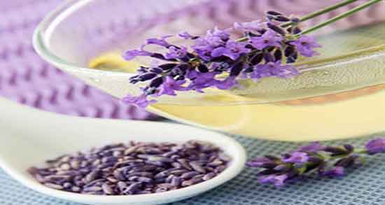 خواص دمنوش اسطوخودوس و آویشن ؛ تهیه دمنوش اسطوخودوس و اویشن