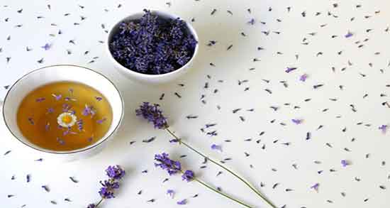 خواص دمنوش اسطوخودوس و بادرنجبویه ؛ دمنوش اسطوخودوس و بادرنجبویه