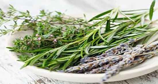 خواص دمنوش رزماری با گل محمدی ؛ مصرف دمنوش رزماری و گل محمدی