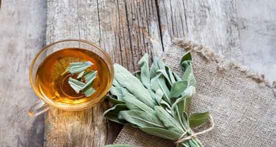خواص دمنوش مریم گلی ؛ برای رحم و مو و سرفه و طرز تهیه دمنوش مریم گلی