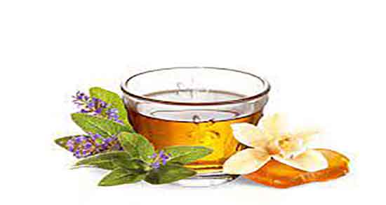 خواص دمنوش مریم گلی برای مو ؛ تقویت موی سر با مریم گلی تازه