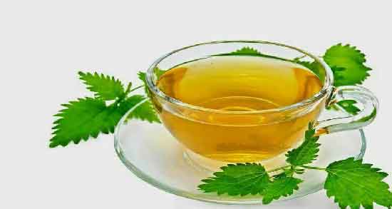 خواص دمنوش گزنه برای مو و درمان ریزش مو با مصرف دمنوش گزنه خواص دمنوش گزنه برای مو ؛ درمان ریزش مو با مصرف دمنوش گزنه