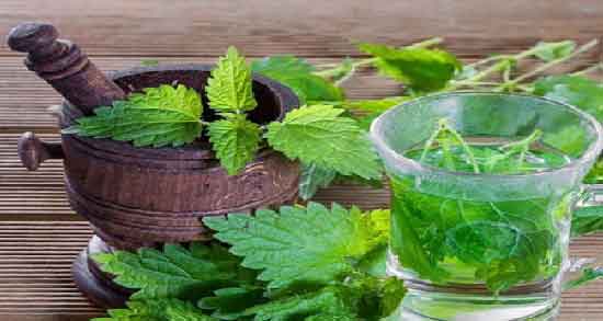 خواص دمنوش گزنه در طب سنتی و آشنایی با خاصیت دارویی دمنوش گزنه از نظر طب سنتی خواص دمنوش گزنه در طب سنتی ؛ آشنایی با خاصیت دارویی دمنوش گزنه از نظر طب سنتی