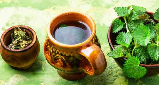 خواص دمنوش گزنه و بابونه و تقویت سیستم ایمنی بدن با مصرف دمنوش گزنه و بابونه خواص دمنوش گزنه و بابونه ؛ تقویت سیستم ایمنی بدن با مصرف دمنوش گزنه و بابونه