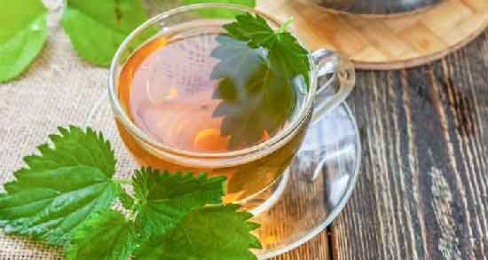 خواص دمنوش گزنه و برگ زیتون و خواص درمانی مصرف دمنوش گزنه و برگ زیتون خواص دمنوش گزنه و برگ زیتون ؛ خواص درمانی مصرف دمنوش گزنه و برگ زیتون