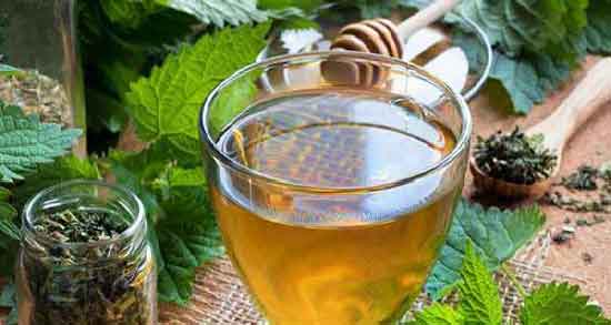 خواص دمنوش گزنه و دارچین ؛ درمان عفونت های بدن با مصرف دمنوش گزنه و دارچین