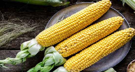 خواص ذرت مکزیکی برای زن باردار و بهبود رشد جنین با مصرف ذرت مکزیکی برای زن باردار خواص ذرت مکزیکی برای زن باردار ؛ بهبود رشد جنین با مصرف ذرت مکزیکی برای زن باردار