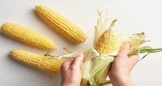 خواص ذرت مکزیکی در دوران بارداری ؛ فواید مصرف ذرت مکزیکی در بارداری