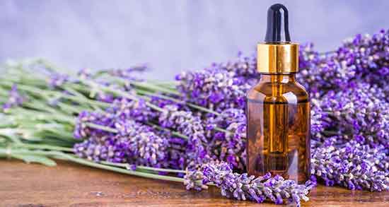 خواص روغن اسطوخودوس ؛ برای مغز و رحم و ماساژ و مو و ابرو و لک صورت