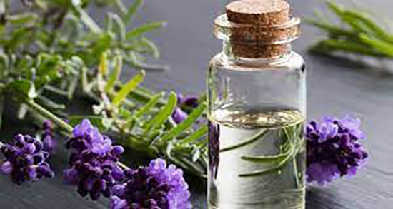 خواص روغن اسطوخودوس برای مو ؛ روغن اسطوخودوس برای پوست و مو