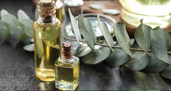 خواص روغن اکالیپتوس برای ریش ؛ خاصیت روغن اکالیپتوس برای تقویت ریش