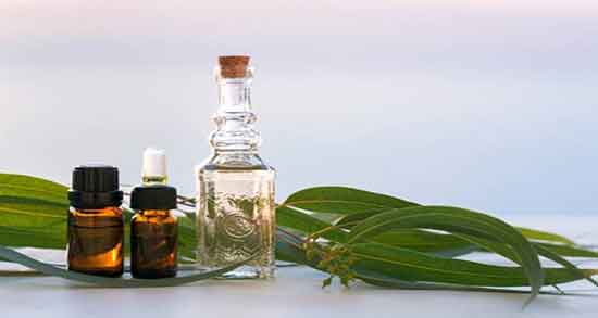 خواص روغن اکالیپتوس برای پوست ؛ روغن اکالیپتوس برای پوست و مو