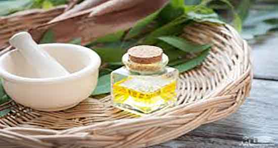 خواص روغن اکالیپتوس در طب سنتی ؛ مصرف روغن اکالیپتوس برای پوست