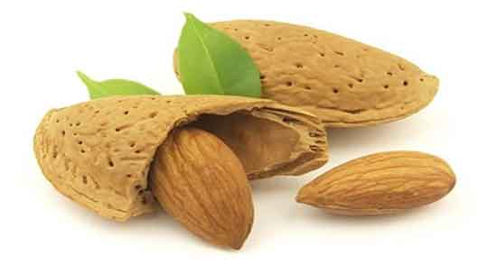 خواص روغن بادام و نارگیل و مصرف روغن بادام و نارگیل برای تقویت مو خواص روغن بادام و نارگیل ؛ مصرف روغن بادام و نارگیل برای تقویت مو