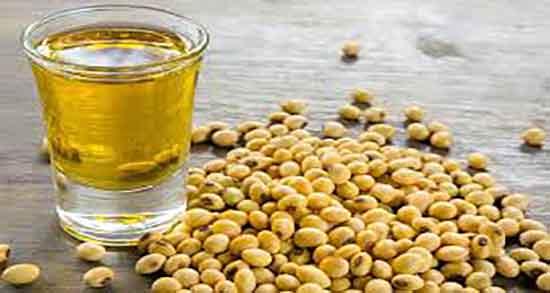 خواص روغن خردل برای لثه ؛ خاصیت روغن خردل برای درمان عفونت لثه