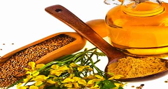خواص روغن خردل در طب سنتی ؛ فواید روغن خردل از نظر طب سنتی