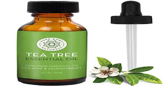 خواص روغن درخت چای برای موی سر و روغن درخت چای برای موی سر خواص روغن درخت چای برای موی سر ؛ روغن درخت چای برای موی سر