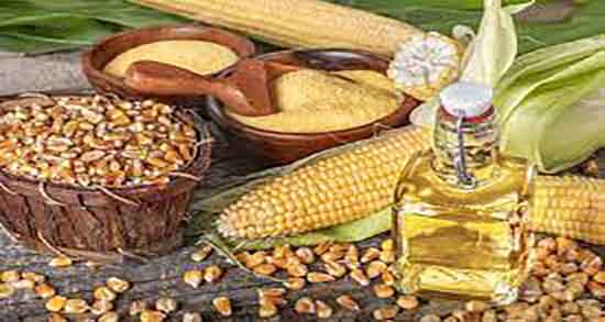 خواص روغن ذرت برای مو ؛ فواید مصرف روغن ذرت برای تقویت موی سر