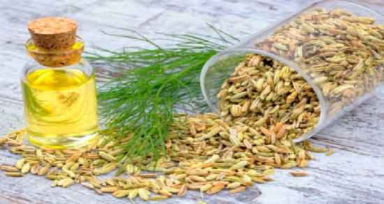 خواص روغن رازیانه برای رحم و فواید مصرف روغن رازیانه برای درمان عفونت رحم خواص روغن رازیانه برای رحم ؛ فواید مصرف روغن رازیانه برای درمان عفونت رحم