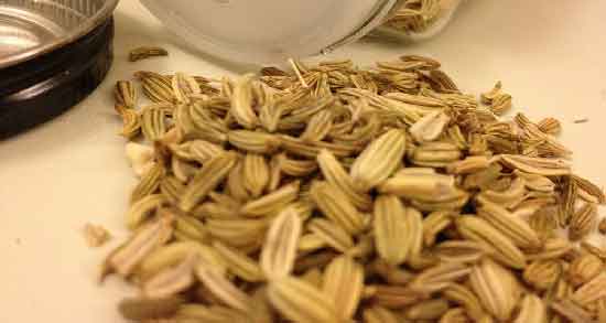 خواص روغن رازیانه برای سیاهی دور چشم ؛ تاثیر روغن رازیانه برای درمان سیاهی دور چشم