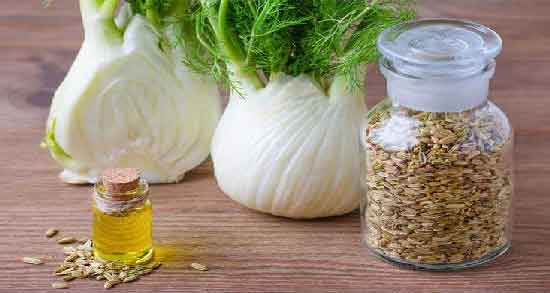 خواص روغن رازیانه در طب سنتی و آشنایی با خاصیت روغن رازیانه از نظر طب سنتی خواص روغن رازیانه در طب سنتی ؛ آشنایی با خاصیت روغن رازیانه از نظر طب سنتی