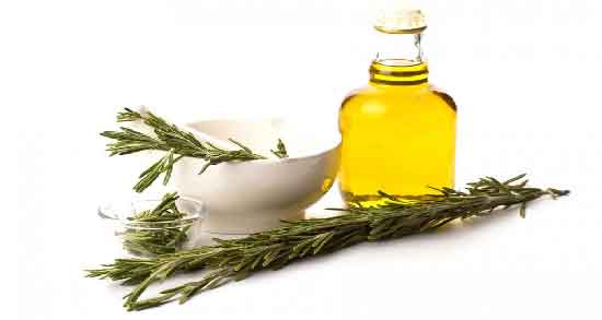 خواص روغن رزماری برای ابرو ؛ تقویت و پرپشت شدن ابروها با روغن رزماری