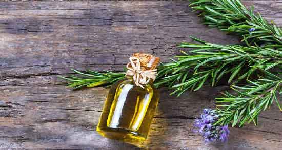 خواص روغن رزماری برای درد مفاصل ؛ ماساژ دادن مفاصل با روغن رزماری برای کاهش درد