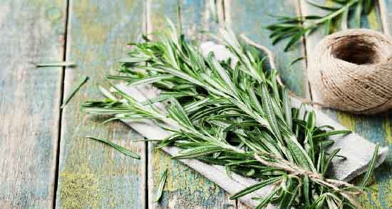 خواص روغن رزماری برای ریش و تاثیر استفاده از روغن رزماری برای پرپشت شدن ریش خواص روغن رزماری برای ریش ؛ تاثیر استفاده از روغن رزماری برای پرپشت شدن ریش