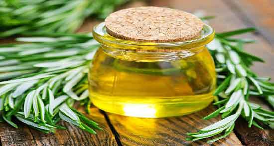 خواص روغن رزماری برای مو ؛ درمان شوره سر با مصرف روغن رزماری
