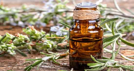 خواص روغن رزماری برای پوست و مو ؛ حفظ سلامت پوست و مو با مصرف روغن رزماری