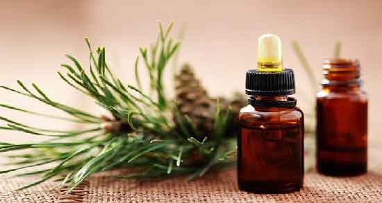 خواص روغن رزماری در طب سنتی و آشنایی با خاصیت روغن رزماری از نظر طب سنتی خواص روغن رزماری در طب سنتی ؛ آشنایی با خاصیت روغن رزماری از نظر طب سنتی