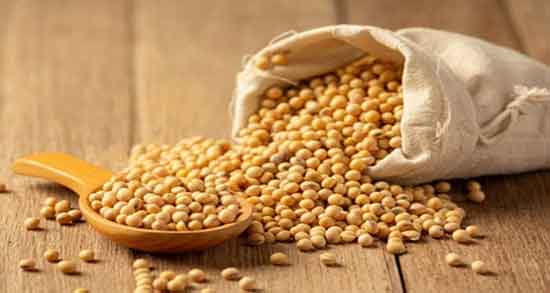 خواص روغن سویا برای پوست ؛ فواید روغن سویا برای پوست صورت