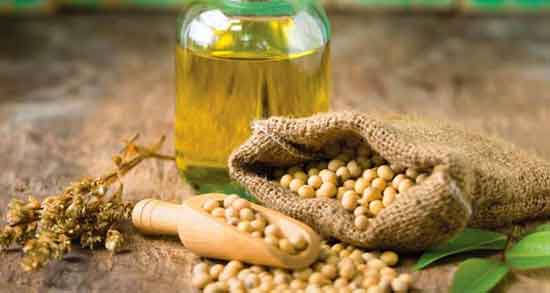 خواص روغن سویا خوراکی ؛ فواید مصرف روغن سویا خوراکی چیست