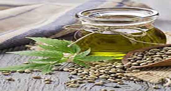 خواص روغن شاهدانه برای مو ؛ فواید روغن شاهدانه برای پوست و مو