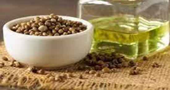 خواص روغن شاهدانه ؛ برای مو و پوست صورت و عوارض و طریقه مصرف