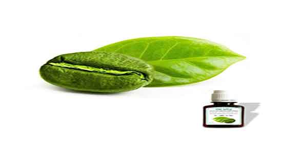 خواص روغن قهوه سبز ؛ فواید مصرف روغن قهوه سبز برای چربی سوزی