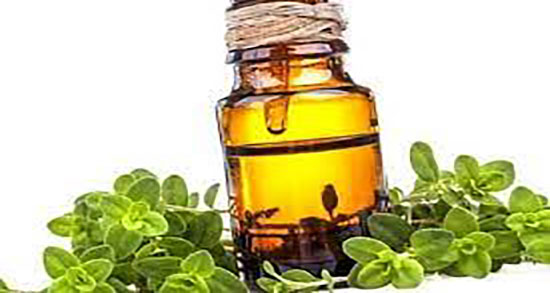 خواص روغن مرزنجوش برای مو ؛ ماساژ روغن مرزنجوش برای تقویت مو