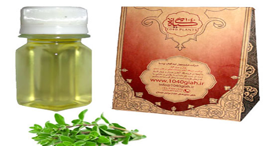 خواص روغن مرزنجوش در طب اسلامی ؛ روغن مرزنجوش در طب اسلامی