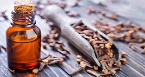 خواص روغن میخک برای زود انزالی و لاغری و دندان و درد مفاصل و عوارض و روش مصرف خواص روغن میخک ؛ برای زود انزالی و لاغری و دندان و درد مفاصل و عوارض و روش مصرف