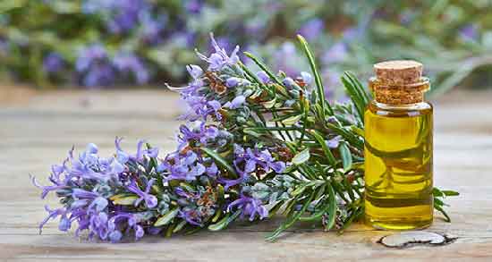 خواص روغن کنجد و بنفشه و درمان سینوزیت و رفع گرفتگی بینی با روغن کنجد و بنفشه خواص روغن کنجد و بنفشه ؛ درمان سینوزیت و رفع گرفتگی بینی با روغن کنجد و بنفشه