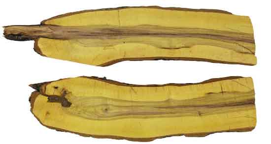 خواص ریشه زرشک برای دام ؛ خاصیت استفاده از ریشه زرشک برای تغذیه دام