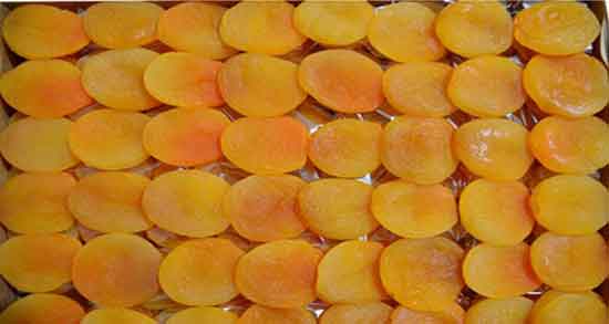 خواص زردآلو در شیردهی و فواید میوه های مفید در دوران شیردهی زنان خواص زردآلو در شیردهی ؛ فواید میوه های مفید در دوران شیردهی زنان