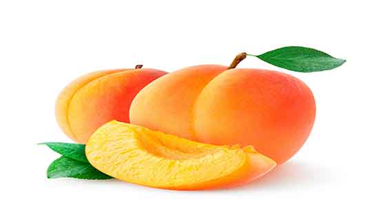 خواص زردآلو ناشتا ؛ ایا خوردن زردالو ناشتا برای لاغری بدن مفید است