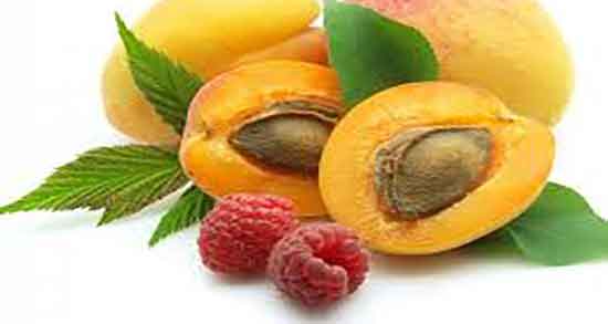 خواص زردآلو و عسل ؛ استفاده از برگ زردآلو و عسل برای عفونت ریه