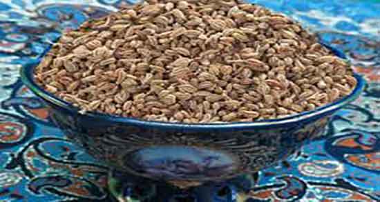 خواص زنیان برای کلیه ؛ فواید مصرف زنیان برای درمان سنگ کلیه چیه