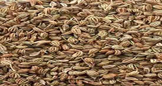 خواص زنیان در بارداری ؛ خاصیت مصرف زنیان تازه در بارداری نی نی سایت