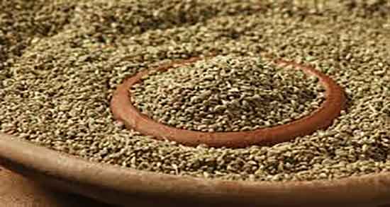 خواص زنیان و عسل ؛ فواید مصرف زنیان و عسل برای درمان زخم معده