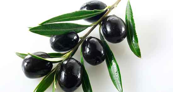 خواص زیتون سیاه برای کودکان و معده و لاغری و پوست صورت خواص زیتون سیاه ؛ برای کودکان و معده و لاغری و پوست صورت